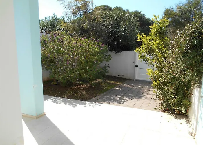 Brezza Di Mare A 50 Metri Dal Mare Di Baia Tatil Evi